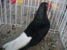 Picture 073