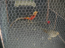 Picture 210