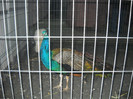Picture 252