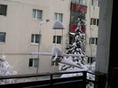antena cu "caciulita"