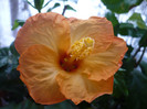 P1110352