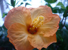 P1110353