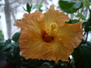 P1110356
