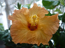 P1110358