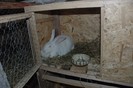 custi  programnul Prima casa (14)