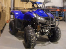 Imagine_vindem-atv-uri-bmw-125cc-noi-in-livram-oriunde-in-tara-bmw-3