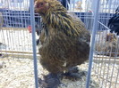 DSC00166