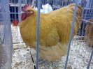 DSC00168