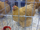 DSC00172