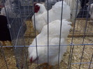 DSC00182