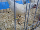 DSC00297