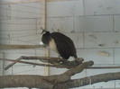 P280112_12.490002