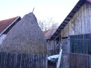 Picture 001