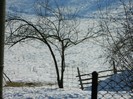 Picture 061