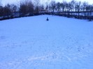Picture 070
