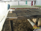 SDC12004