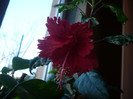 P1110386