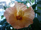 P1110402