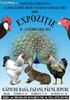 gaini expozitie 2012