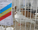 P1280260