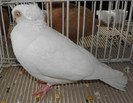 P1280263