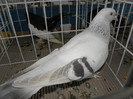 P1280338