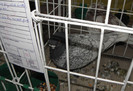 P1280097