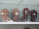 P1280006
