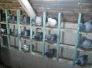 Picture 3552