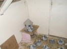 Picture 3553