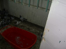 Picture 3559