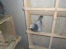 SAM_0626