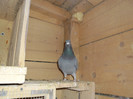 SAM_0628