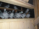 SAM_0632