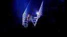 A Special Night with Demi Lovato (Special Video) 843