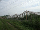 DSCF0104