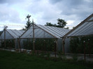 DSCF0272