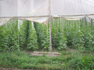 DSCF0320