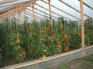 DSCF0645