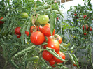DSCF0818