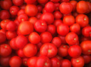 DSCF7663