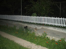 DSCF7676