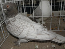 P1280116