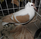 P1280092