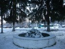 poze 254
