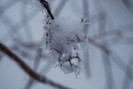 DSC_0061