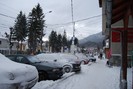 DSC_9954
