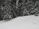 P1190079