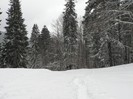 P1190080