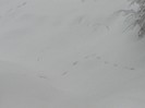 P1190182